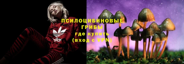 не бодяженный Нея