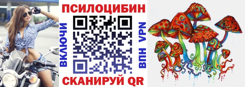 Псилоцибиновые грибы мицелий Купить где Белоозёрский